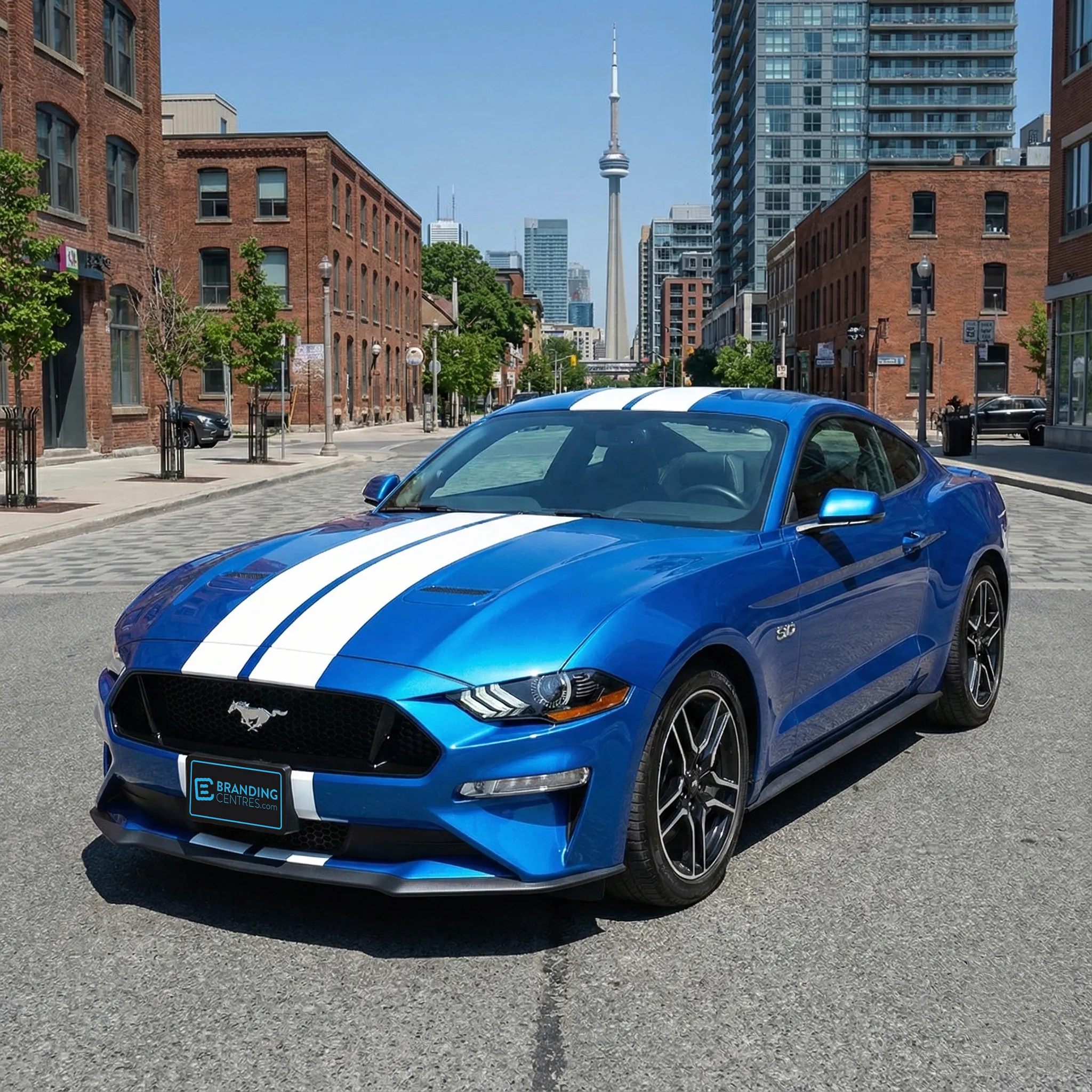 Car Stripes